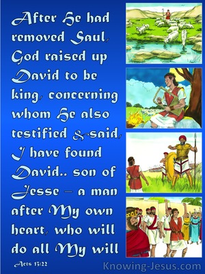 Acts 13:22 A Man After Gods Own Heart (blue)